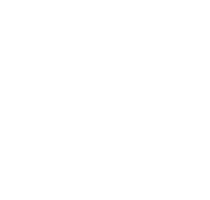 RVS Technology Group logo